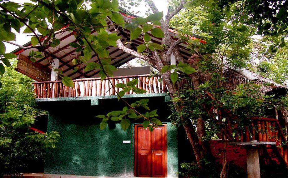 Sigiri Holiday Villa Sigiriya Buitenkant foto