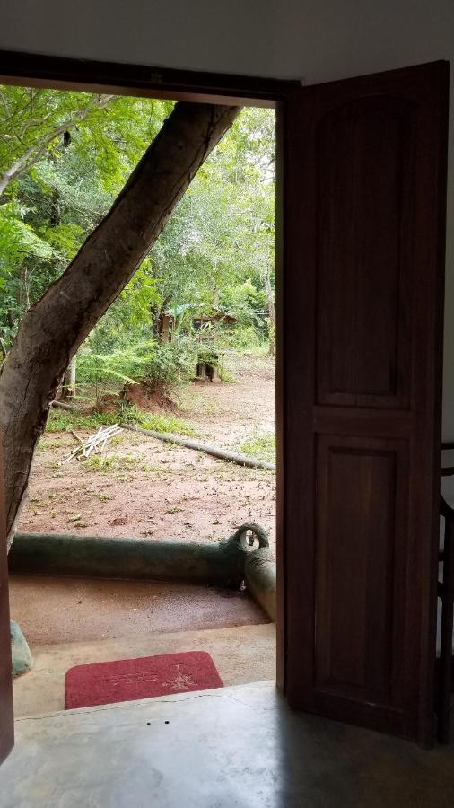 Sigiri Holiday Villa Sigiriya Buitenkant foto