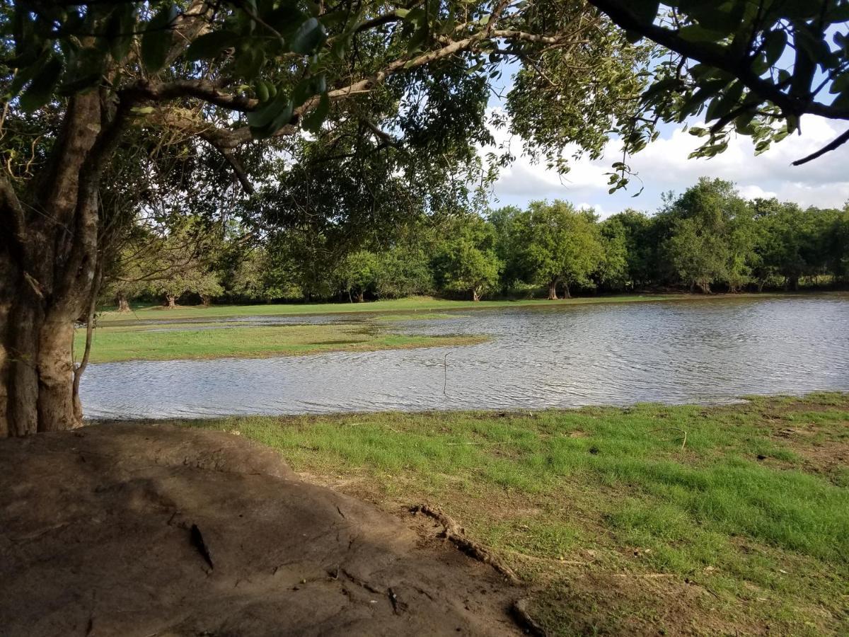 Sigiri Holiday Villa Sigiriya Buitenkant foto