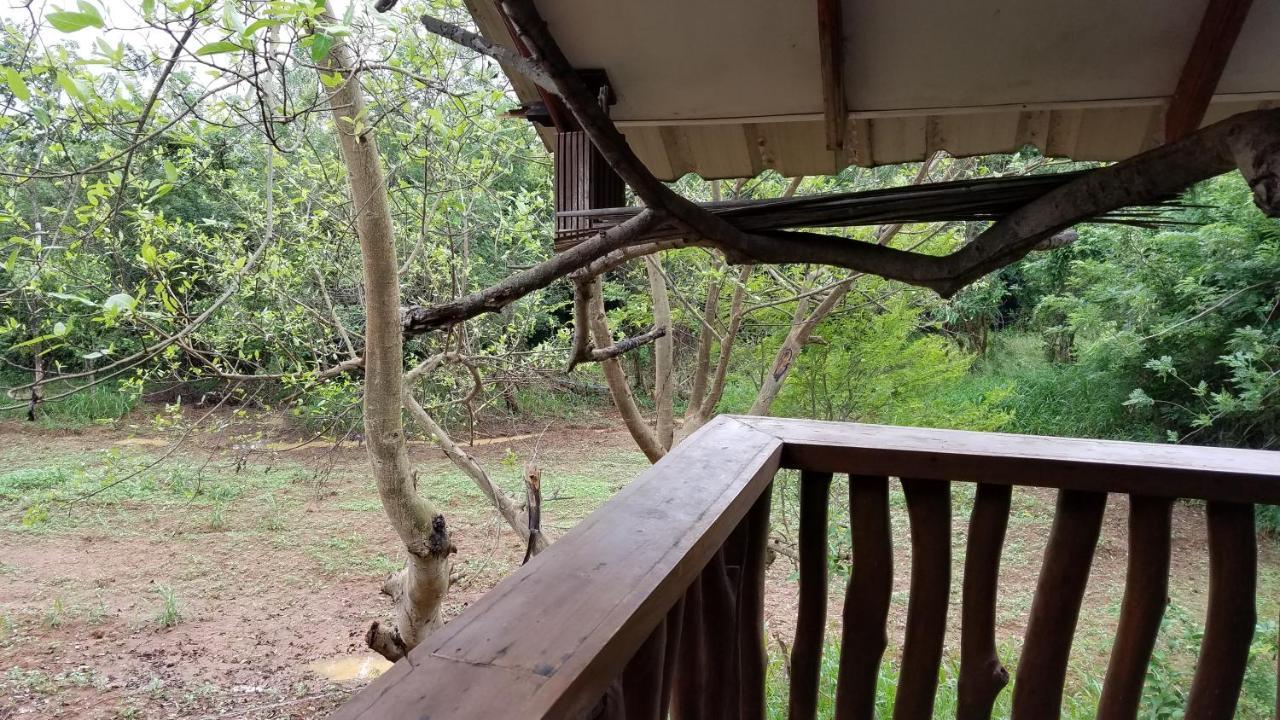 Sigiri Holiday Villa Sigiriya Buitenkant foto