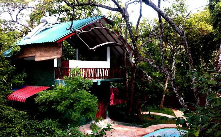 Sigiri Holiday Villa Sigiriya Buitenkant foto